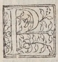 Picture 27 of 35 from Les diuerses fantasies des hommes et des femmes (1538), leaf 208