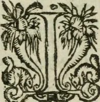 An illustration from Les dovze clefs de philosophie de frere Basile Valentin ... : traictant de la vraye medecine metalique : plus l'Azoth, ou, Le moyen de faire l'or caché des philosophes : traduction francoise (1660)