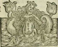An illustration from Les dovze clefs de philosophie de frere Basile Valentin ... : traictant de la vraye medecine metalique : plus l'Azoth, ou, Le moyen de faire l'or caché des philosophes : traduction francoise (1660)