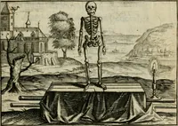An illustration from Les dovze clefs de philosophie de frere Basile Valentin ... : traictant de la vraye medecine metalique : plus l'Azoth, ou, Le moyen de faire l'or caché des philosophes : traduction francoise (1660)