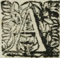 An illustration from Les Eloges des hommes scavans : tirez de l'Histoire de M. de Thou : avec des additions contenant l'abrégé de leur vie, le jugement & le catalogue de leurs ouvrages (1697)