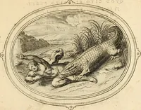 Picture 111 of 126 from Les emblemes de l'amour humain (1667), leaf 236