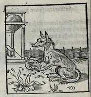 An illustration from Les emblemes de maistre Andre Alciat, mis en rime francoyse, [et] puis nagueres reimprime auec curieuse correction (1539)