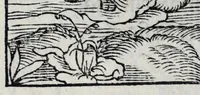 An illustration from Les emblemes de maistre Andre Alciat, mis en rime francoyse, [et] puis nagueres reimprime auec curieuse correction (1539)