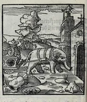 An illustration from Les emblemes de maistre Andre Alciat, mis en rime francoyse, [et] puis nagueres reimprime auec curieuse correction (1539)