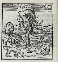 An illustration from Les emblemes de maistre Andre Alciat, mis en rime francoyse, [et] puis nagueres reimprime auec curieuse correction (1539)