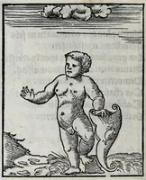 An illustration from Les emblemes de maistre Andre Alciat, mis en rime francoyse, [et] puis nagueres reimprime auec curieuse correction (1539)