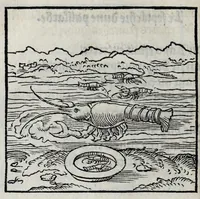 Picture 8 of 31 from Les emblemes de maistre Andre Alciat, mis en rime francoyse, [et] puis nagueres reimprime auec curieuse correction (1539), leaf 76