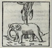 An illustration from Les emblemes de maistre Andre Alciat, mis en rime francoyse, [et] puis nagueres reimprime auec curieuse correction (1539)