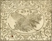 Picture 92 of 178 from Le sententiose imprese ; et, Dialogo (1560), leaf 106