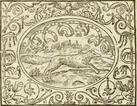 Picture 101 of 178 from Le sententiose imprese ; et, Dialogo (1560), leaf 115