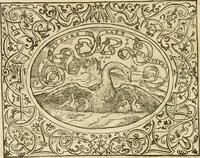An illustration from Le sententiose imprese ; et, Dialogo (1560)