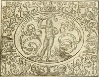 Picture 120 of 178 from Le sententiose imprese ; et, Dialogo (1560), leaf 134