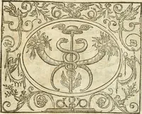 Picture 124 of 178 from Le sententiose imprese ; et, Dialogo (1560), leaf 138