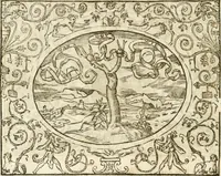 Picture 127 of 178 from Le sententiose imprese ; et, Dialogo (1560), leaf 141