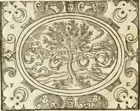 An illustration from Le sententiose imprese ; et, Dialogo (1560)