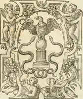 Picture 132 of 178 from Le sententiose imprese ; et, Dialogo (1560), leaf 148
