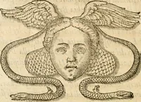 Picture 167 of 178 from Le sententiose imprese ; et, Dialogo (1560), leaf 331