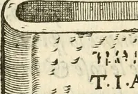 Picture 168 of 178 from Le sententiose imprese ; et, Dialogo (1560), leaf 335