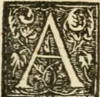 Picture 178 of 178 from Le sententiose imprese ; et, Dialogo (1560), leaf 386
