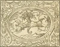 Picture 28 of 178 from Le sententiose imprese ; et, Dialogo (1560), leaf 42
