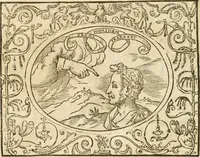 Picture 35 of 178 from Le sententiose imprese ; et, Dialogo (1560), leaf 49