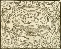 Picture 41 of 178 from Le sententiose imprese ; et, Dialogo (1560), leaf 55