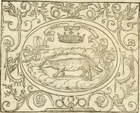 Picture 48 of 178 from Le sententiose imprese ; et, Dialogo (1560), leaf 62