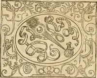 Picture 56 of 178 from Le sententiose imprese ; et, Dialogo (1560), leaf 70