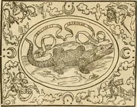 An illustration from Le sententiose imprese ; et, Dialogo (1560)