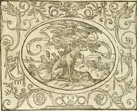 Picture 63 of 178 from Le sententiose imprese ; et, Dialogo (1560), leaf 77