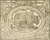 Picture 71 of 178 from Le sententiose imprese ; et, Dialogo (1560), leaf 85