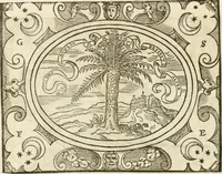 Picture 73 of 178 from Le sententiose imprese ; et, Dialogo (1560), leaf 87