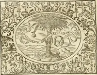An illustration from Le sententiose imprese ; et, Dialogo (1560)