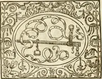 Picture 85 of 178 from Le sententiose imprese ; et, Dialogo (1560), leaf 99