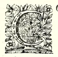 Picture 4 of 28 from L'esercizio accademico di picca (1688), leaf 19