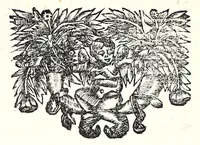 An illustration from L'esercizio accademico di picca (1688)