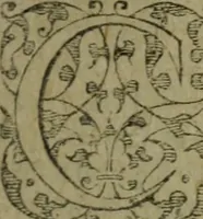 Picture 8 of 11 from Les essais (1602), leaf 292