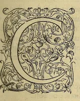 An illustration from Les essais de Michel seigneur de Montaigne (1595)