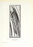 An illustration from Les estampes japonaises (1910)