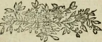 An illustration from Les fables égyptiennes et grecques : dévoilées & réduites au même principe, avec une explication des hiéroglyphes, et de la guerre de Troye (1786)