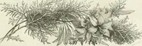 Picture 130 of 649 from Les Français peints par eux-mêmes (1853), leaf 124