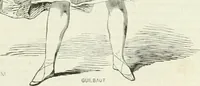 Picture 227 of 649 from Les Français peints par eux-mêmes (1853), leaf 234