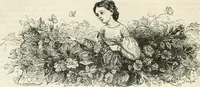 Picture 233 of 649 from Les Français peints par eux-mêmes (1853), leaf 243