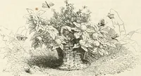 Picture 254 of 649 from Les Français peints par eux-mêmes (1853), leaf 267