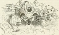 Picture 279 of 649 from Les Français peints par eux-mêmes (1853), leaf 297
