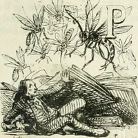 Picture 293 of 649 from Les Français peints par eux-mêmes (1853), leaf 312