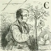 An illustration from Les Français peints par eux-mêmes (1853)