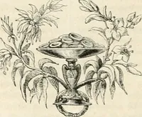 An illustration from Les Français peints par eux-mêmes (1853)