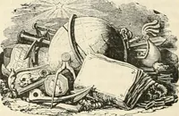 Picture 406 of 649 from Les Français peints par eux-mêmes (1853), leaf 465